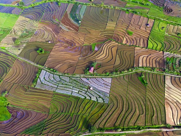 Blick Auf Indonesische Reisfelder Mit Schönen Bunten Terrassenförmigen Becken — Stockfoto