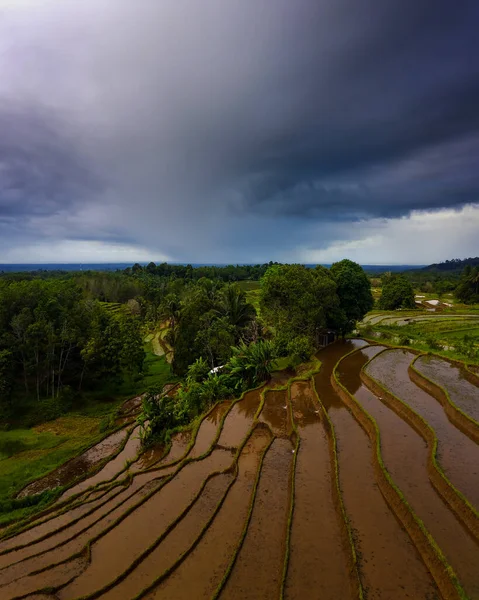 早上俯瞰印尼 在暴雨云中俯瞰稻田 — 图库照片