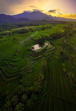 aerial view of indonesian rural area with mountains and rice fields in the morning