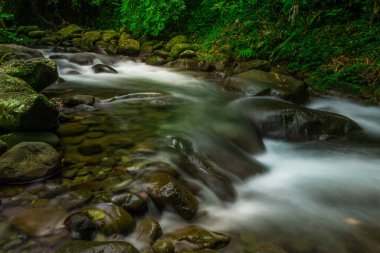 indonesian landscape in the morning with a waterfall inside a beautiful tropical forest