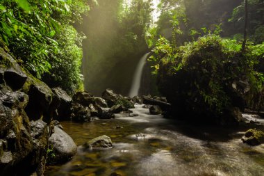 the view of the waterfall in the morning is housed in the tropical forest of Indonesia