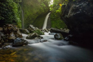 the view of the waterfall in the morning is housed in the tropical forest of Indonesia