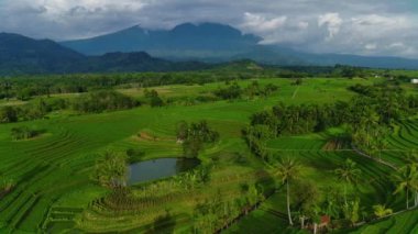 Beautiful morning view of Indonesia natural panorama with the beauty of the colors and natural light of the morning sky