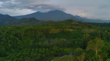 Beautiful morning view of Indonesia with Panorama View of the rice fields with the beauty of the colors