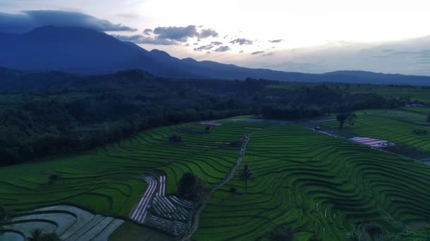 パノラマでインドネシアの美しい朝の景色色の美しさと田んぼの景色 — ストック動画