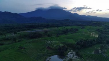 Beautiful morning view of Indonesia with Panorama View of the rice fields with the beauty of the colors