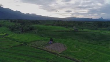 Beautiful morning view of Indonesia natural panorama with the beauty of the colors and natural light of the morning sky