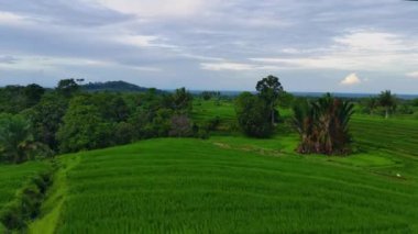Beautiful morning view of Indonesia natural panorama with the beauty of the colors and natural light of the morning sky