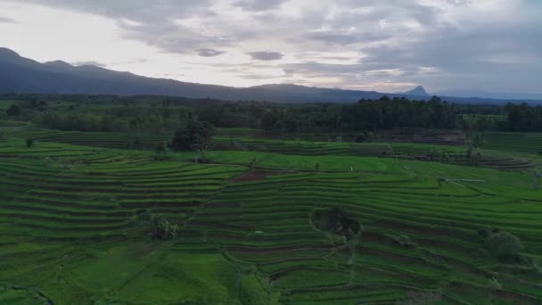 Beautiful Morning View Indonesia Natural Panorama Beauty Colors Natural Light — Video