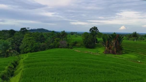 朝の空の色と自然光の美しさとインドネシアの自然のパノラマの美しい朝の景色 — ストック動画