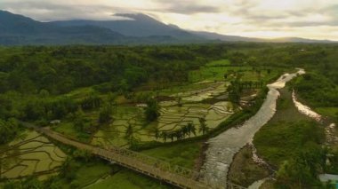Beautiful morning view indonesia Panorama Landscape paddy fields with beauty color and sky natural light