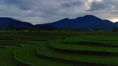 Beautiful morning view indonesia Panorama Landscape paddy fields with beauty color and sky natural light