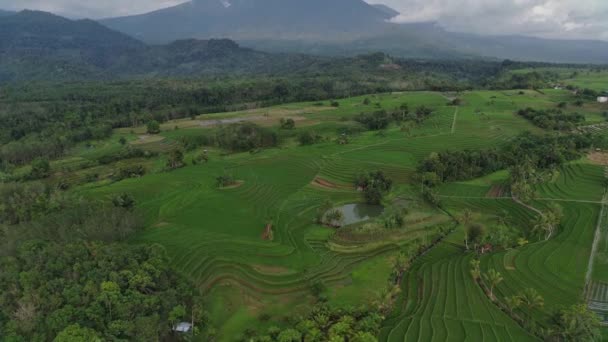 Прекрасний Вид Зранку Індонезія Панорама Пейзажні Поля Кольором Краси Небом — стокове відео