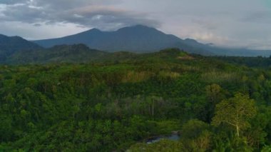 Beautiful morning view indonesia Panorama Landscape paddy fields with beauty color and sky natural light