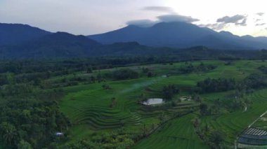 Beautiful morning view indonesia Panorama Landscape paddy fields with beauty color and sky natural light
