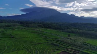 Beautiful morning view indonesia Panorama Landscape paddy fields with beauty color and sky natural light