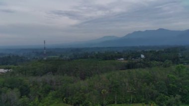Beautiful morning view indonesia Panorama Landscape paddy fields with beauty color and sky natural light