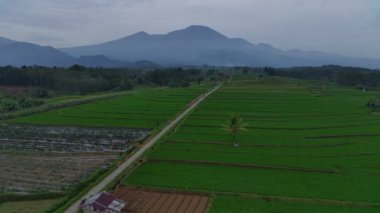 Beautiful morning view indonesia Panorama Landscape paddy fields with beauty color and sky natural light