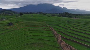 Beautiful morning view indonesia Panorama Landscape paddy fields with beauty color and sky natural light