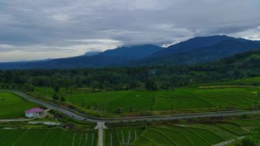 Beautiful morning view indonesia Panorama Landscape paddy fields with beauty color and sky natural light
