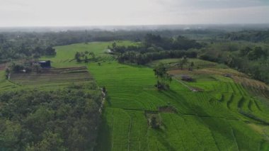 Beautiful morning view indonesia Panorama Landscape paddy fields with beauty color and sky natural light