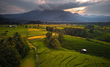 Beautiful morning view indonesia Panorama Landscape paddy fields with beauty color and sky natural light