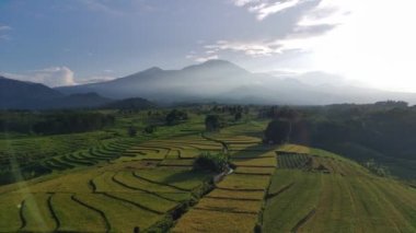 Beautiful morning view indonesia panorama landscape paddy fields with beauty color and sky natural light