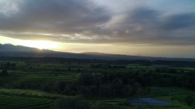 Beautiful morning view indonesia panorama landscape paddy fields with beauty color and sky natural light