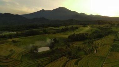 Beautiful morning view indonesia panorama landscape paddy fields with beauty color and sky natural light
