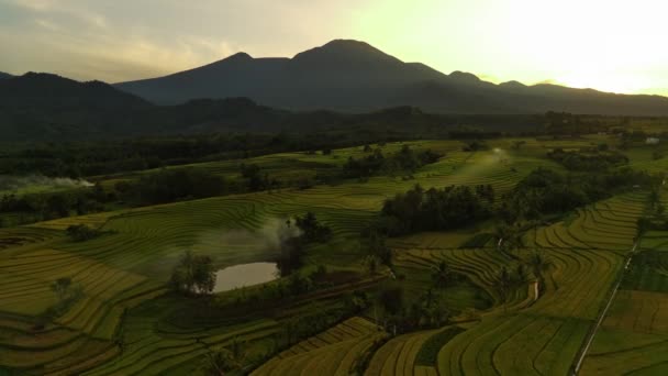 美丽的晨景全景全景水稻田美丽的色彩和天空的自然光 — 图库视频影像