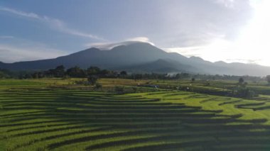 Beautiful morning view indonesia panorama landscape paddy fields with beauty color and sky natural light