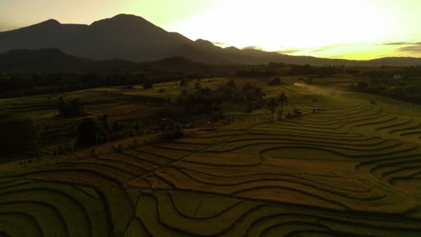 Vacker Morgon Utsikt Indonesien Panorama Landskap Paddy Fält Med Skönhet — Stockvideo