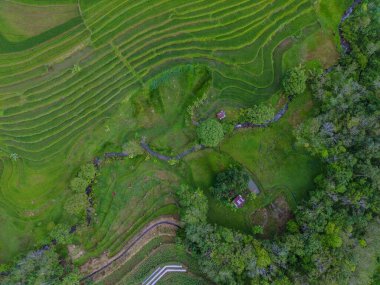 Endonezya 'dan orman ve dağ manzaralı güzel bir sabah manzarası