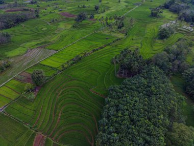 Endonezya 'dan orman ve dağ manzaralı güzel bir sabah manzarası