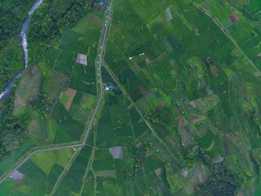 Endonezya 'dan orman ve dağ manzaralı güzel bir sabah manzarası