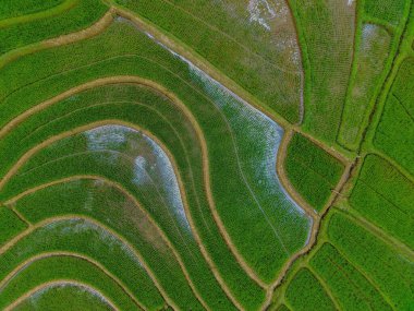 Endonezya 'dan orman ve dağ manzaralı güzel bir sabah manzarası