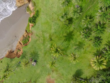 Endonezya 'dan orman ve dağ manzaralı güzel bir sabah manzarası