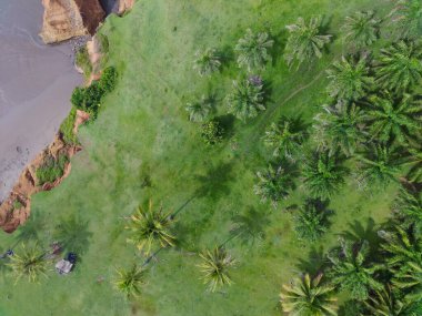 Endonezya 'dan orman ve dağ manzaralı güzel bir sabah manzarası