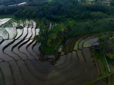 Endonezya 'dan orman ve dağ manzaralı güzel bir sabah manzarası