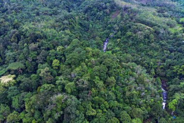 Beautiful morning view indonesia panorama landscape paddy fields with beauty color and sky natural light