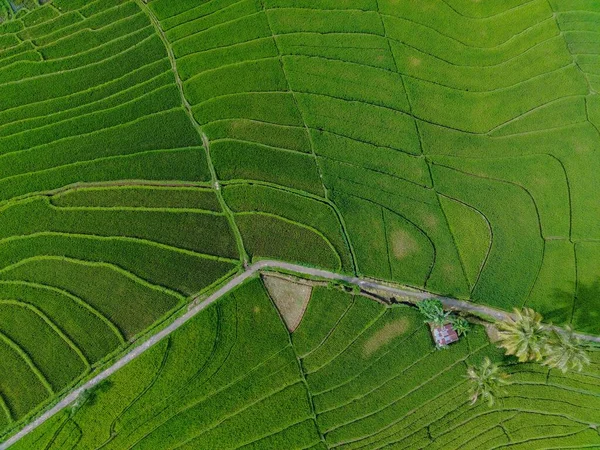 stock image aerial view beautiful morning view from Indonesia about mountain and forest