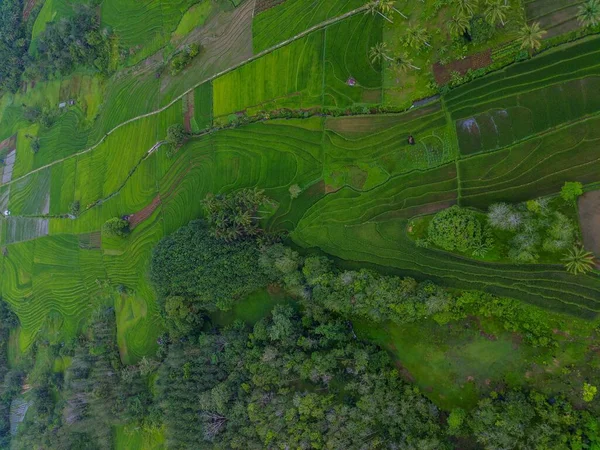 Widok Lotu Ptaka Piękny Widok Rano Indonezji Górach Lesie — Zdjęcie stockowe