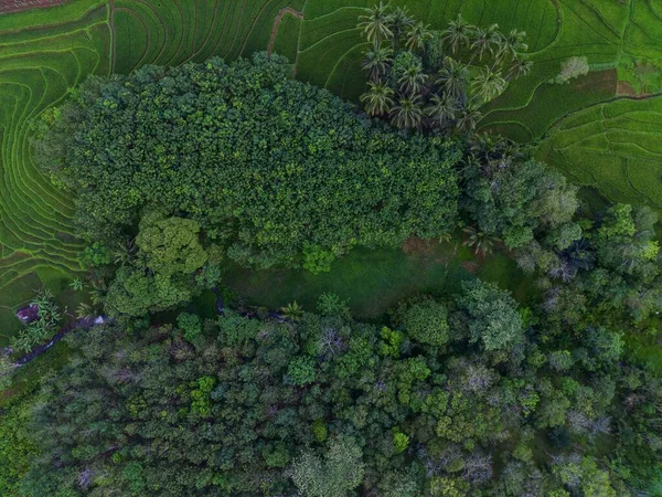 Widok Lotu Ptaka Piękny Widok Rano Indonezji Górach Lesie — Zdjęcie stockowe