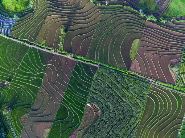 Vanuit Lucht Prachtig Uitzicht Vanuit Indonesië Berg Bos — Stockfoto
