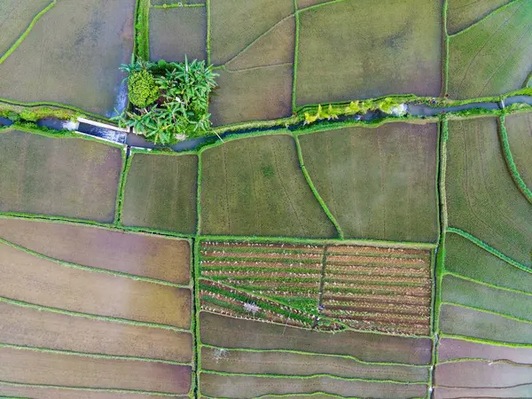 stock image aerial view beautiful morning view from Indonesia about mountain and forest