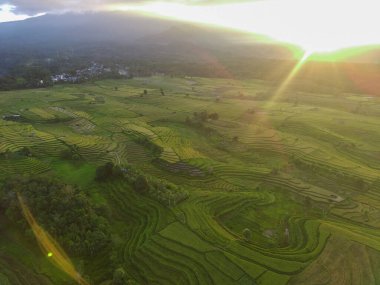 Endonezya 'dan orman ve dağ manzaralı güzel bir sabah manzarası