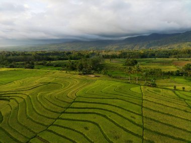 Endonezya 'dan orman ve dağ manzaralı güzel bir sabah manzarası