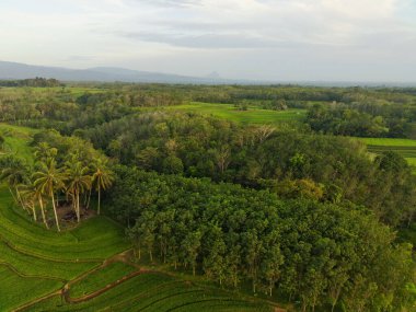 Endonezya 'dan orman ve dağ manzaralı güzel bir sabah manzarası