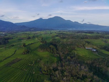Endonezya 'dan orman ve dağ manzaralı güzel bir sabah manzarası