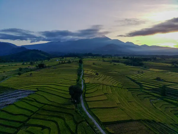 Légi Kilátás Gyönyörű Reggeli Kilátás Indonéziából Hegyről Erdőről — Stock Fotó
